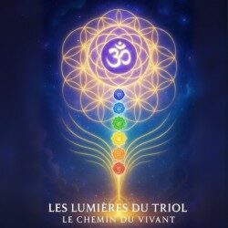 Les Lumières du Triol